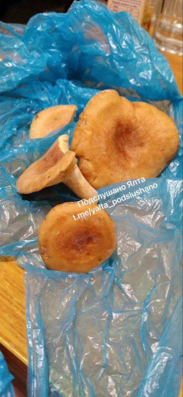 Здравствуйте! Можете опубликовать? Нашли грибы. Это ры?...