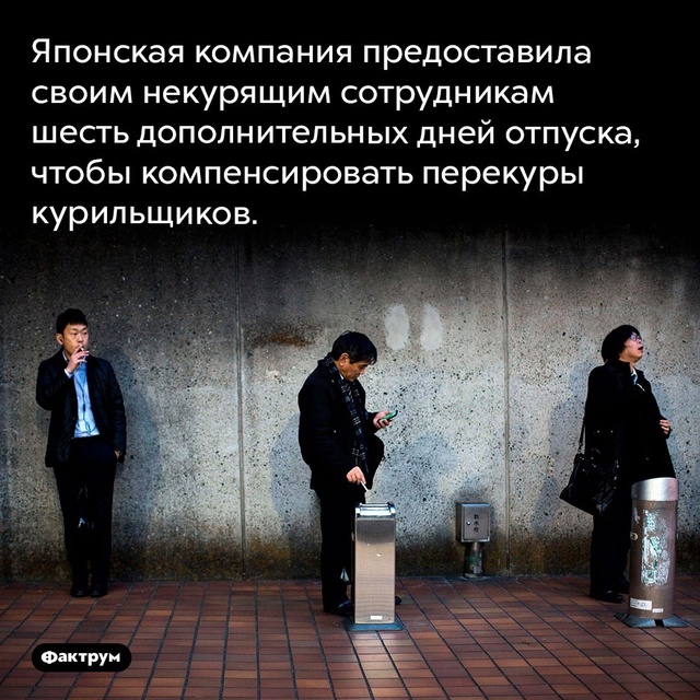 Подборка интересных фактов.