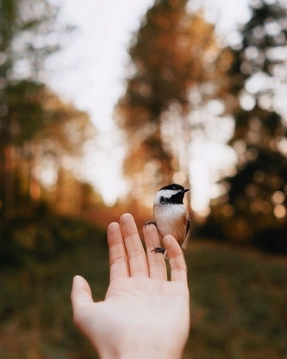Сколько красоты в том, что зовётся мелочами✨
