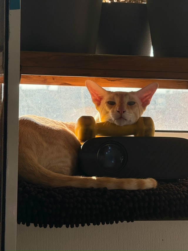 Немного любимых всратышей🫶🏻