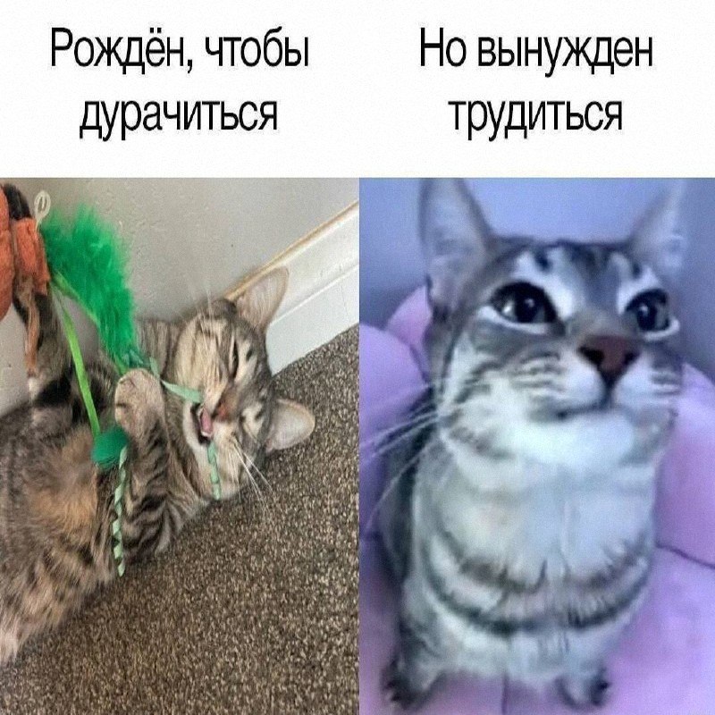 Утренняя подборочка