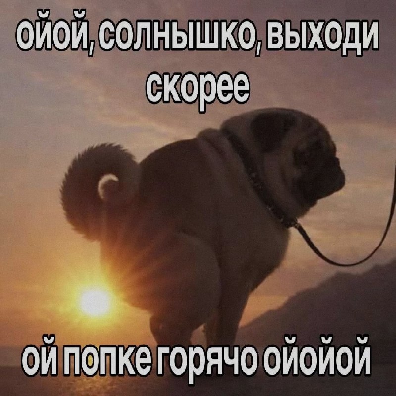 Ночная подборочка
Спать, режим