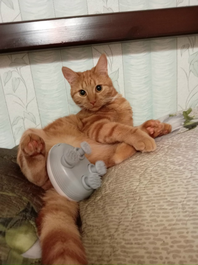 Нападение робота😸🙀