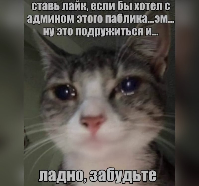 Ночная подборочка
Спать, режим