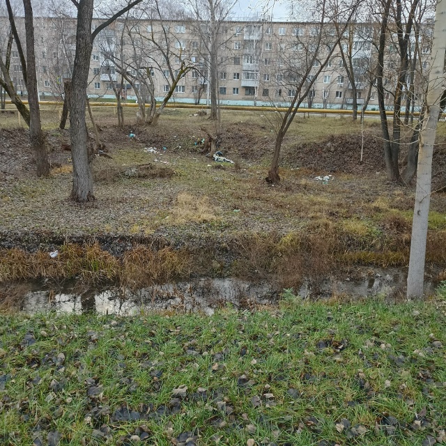 Вот такая помойка возле ручья напротив КДЦ. Скорее все?...