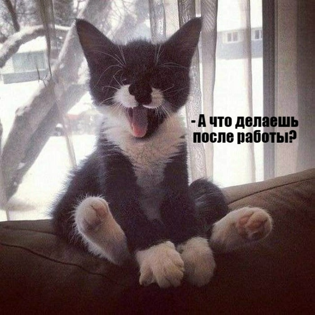 Про работу))
