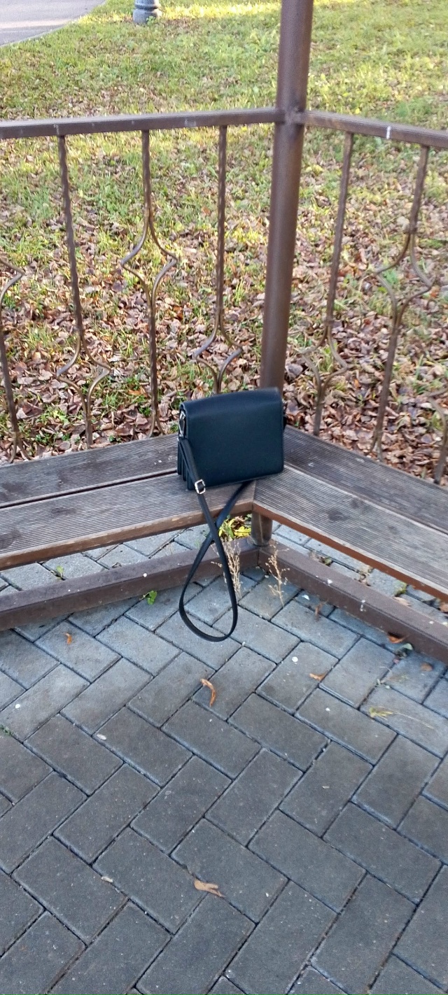 Кто оставил? Городской парк. Около эстрады. 15.00. 2.11.2025. З?...