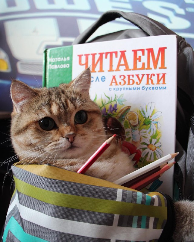С Днём знаний!