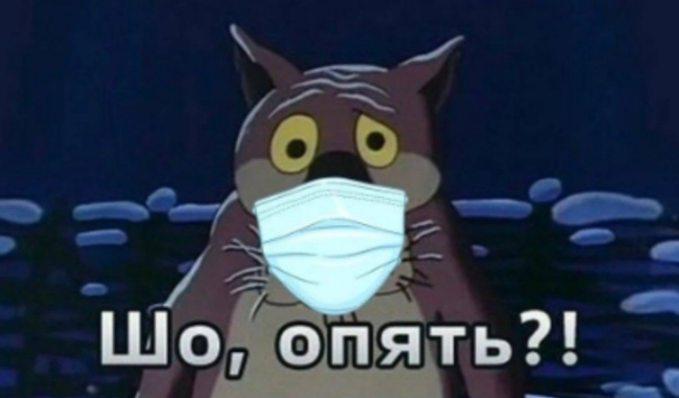 В Китае вывели гигантских комаров-каннибалов, чтобы бороться с вирусами. Огромные москиты Toxorhync