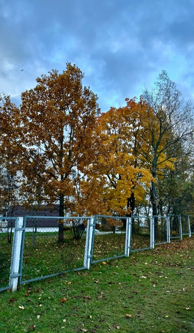 Золотой октябрь в Окуловке