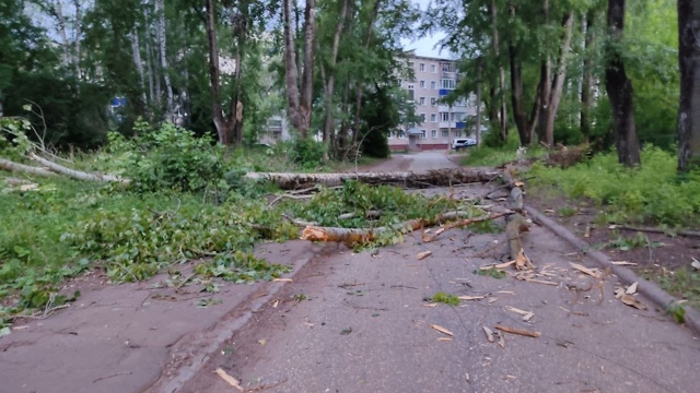 На Лермонтова снова падают деревья.