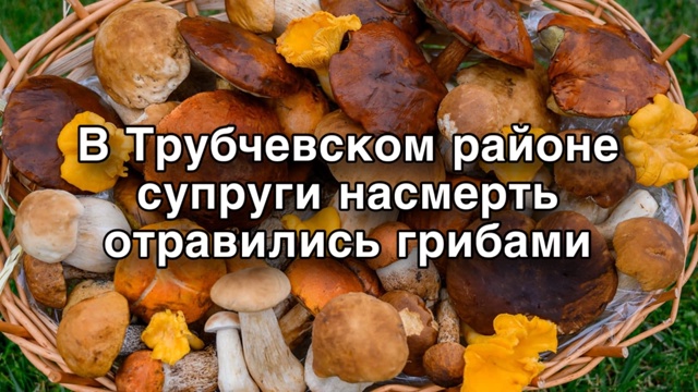 Семейную пару пытались спасти – врачи долго проводил ?...