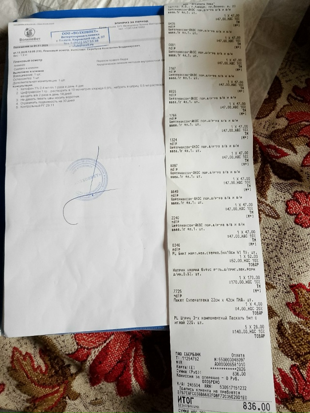 Здравствуйте, всем неравнодушным огромное спасибо, кт?...