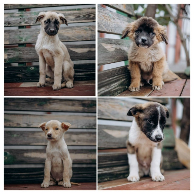 Здравствуйте! Разместите пожалуйста пост 🙏
Очень ище?...
