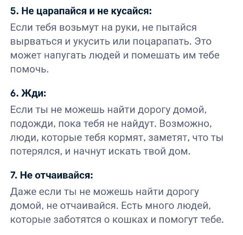 «Постарайтесь громко мяукать, чтобы привлечь внимание» — нейросеть от Google выдала инструкцию для т