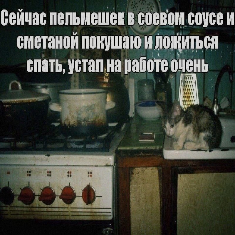 Ночная подборочка
Спать, режим