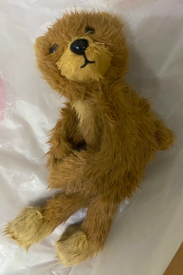 Здравствуйте! Нашли сегодня на остановке «Центральный...