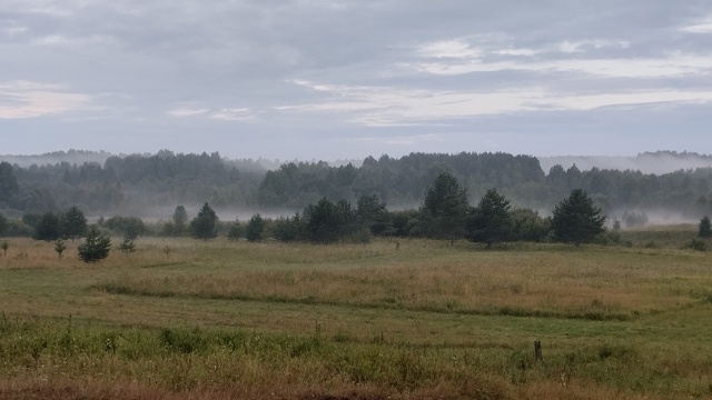 Сегодняшний туман в Завелье 😍
Такие красивые туманы ?...