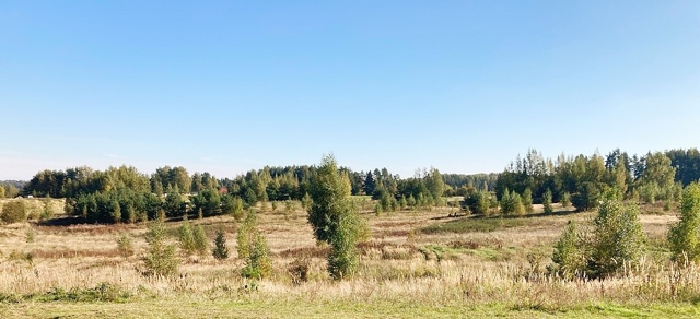 Осень.