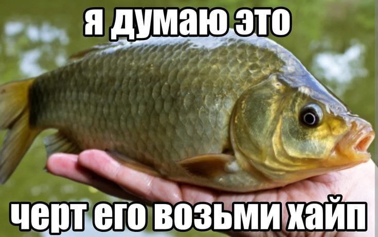 Утренняя подборочка