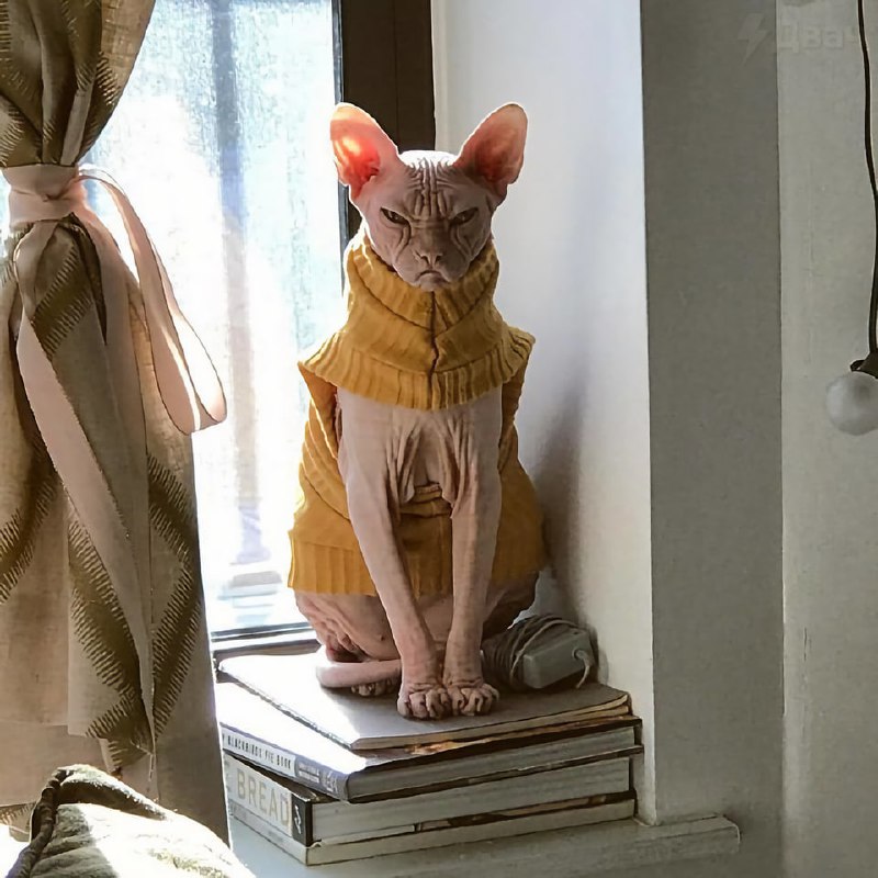 Сегодня отмечается День ворчуна
Буквально твой день