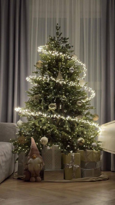 В соцсетях набирает популярность парящая гирлянда — новый хит новогоднего декора.
Елки украшают та