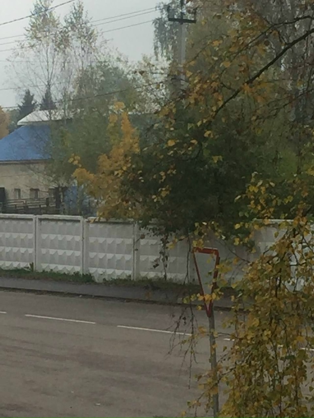 Здравствуйте!
Можно как-то повлиять на руководство АО ...