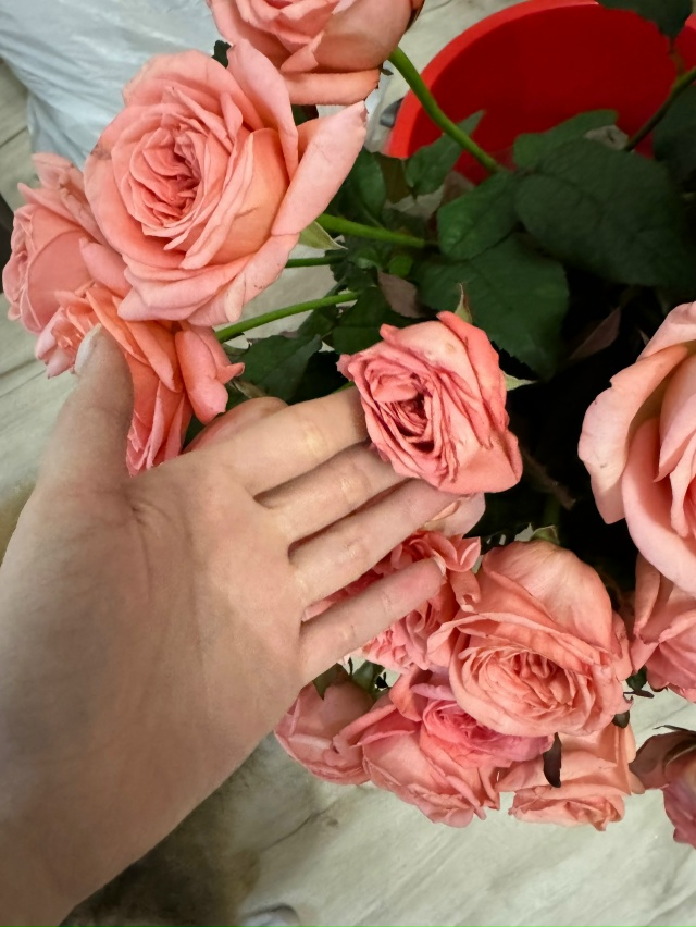 💔 Испорченный праздник: 51 роза, завявшая за полдня, и п...