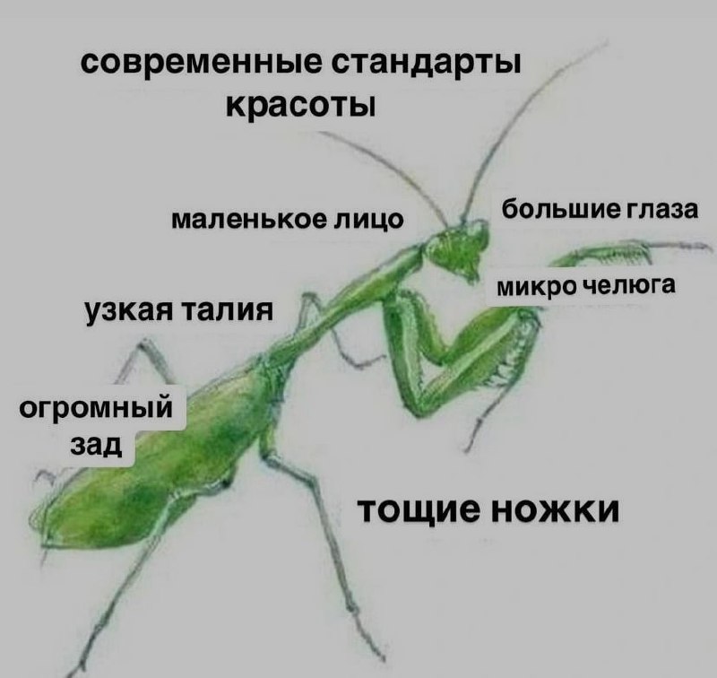 Ночная подборочка
Выходные, не спим