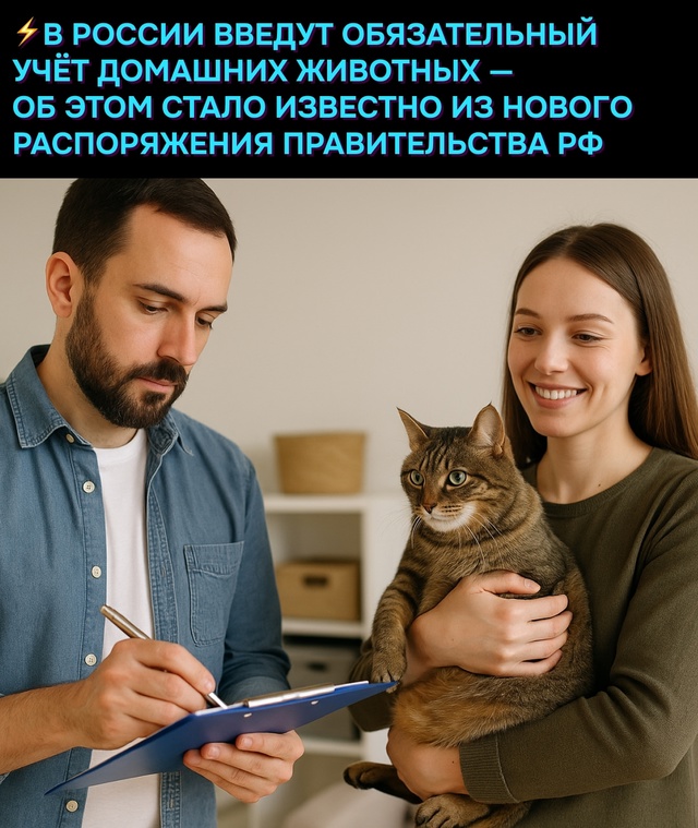Животные есть? А если найду?