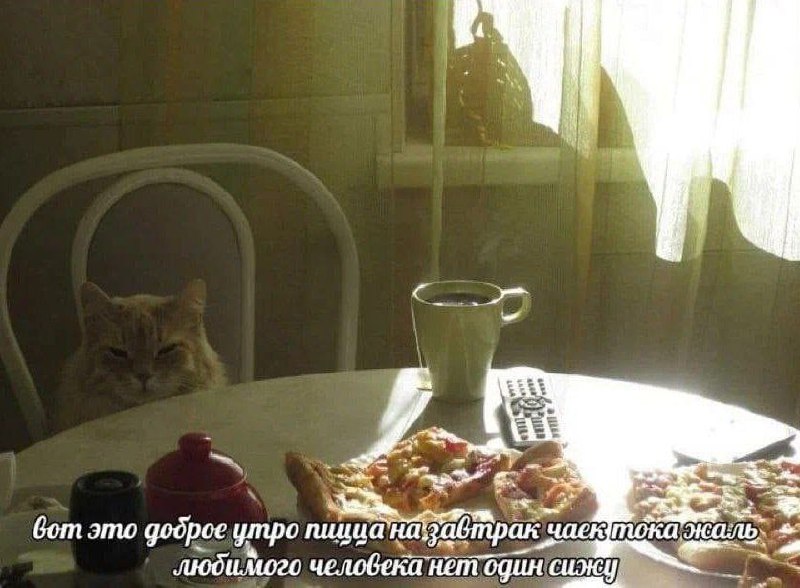 Утренняя подборочка