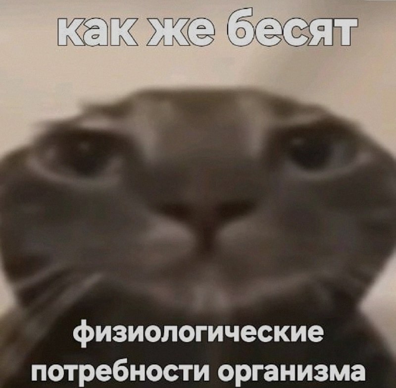 Ночная подборочка
Выходные, не спим