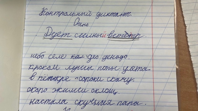 Здравствуйте, Уважаемые логопеды! Очень нужен Ваш сове...