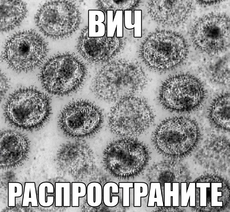 Миру грозит новая эпидемия ВИЧ.
ООН предупреждает, что сокращение финансирования профилактики уже