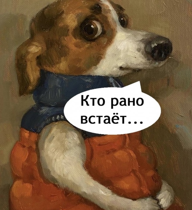 Старая истина😅