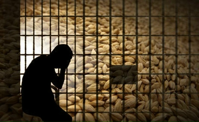 ❗️Замдиректора агрофирмы в Курской области обвиняют ...