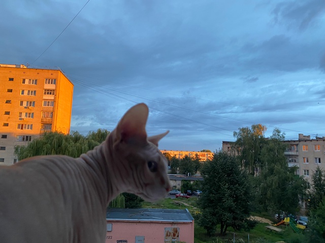 ?Мэджик ✨ Часть 1