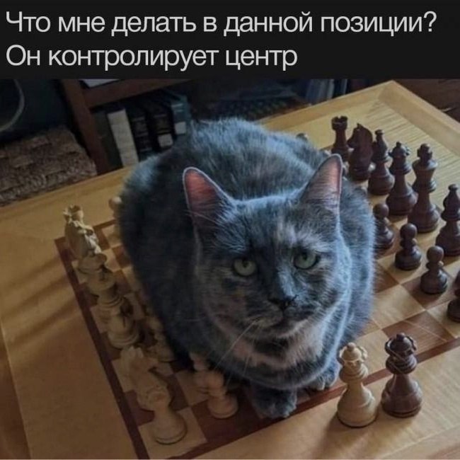 Ночная подборочка
Спать, режим