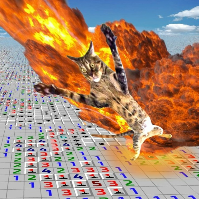 кот не ожиданно взбомбанулся (он етого не ожидал)