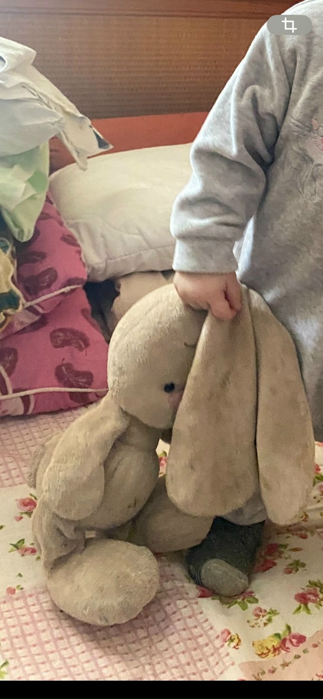 Всем здоатсвуйте!!потеряли игрушку зайца ,если кто то н...