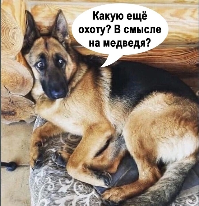 и в чем она не права?