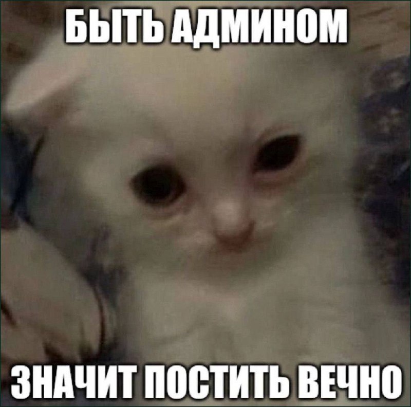 Утренняя подборочка