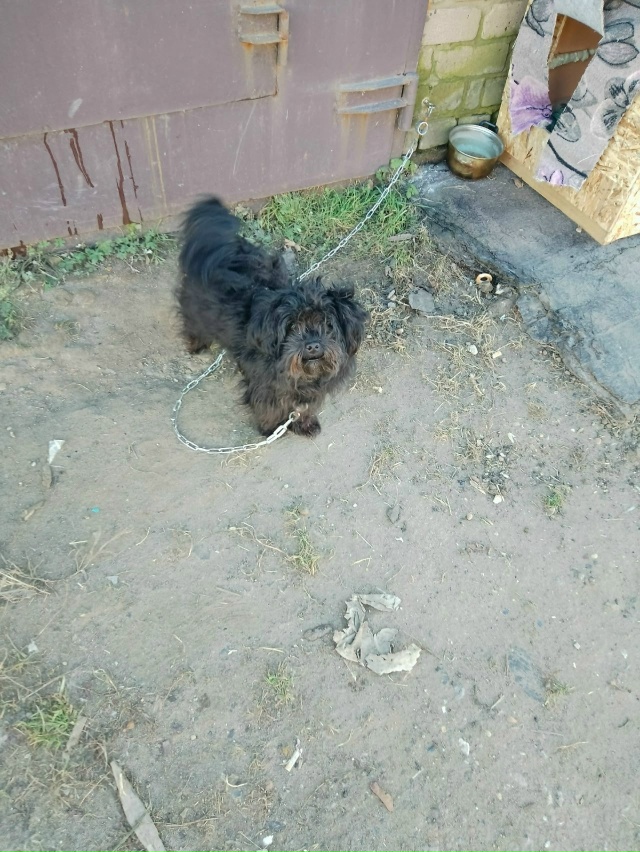 Я понимаю, что многие скажут - «Да задолбали уже!»
Прост...