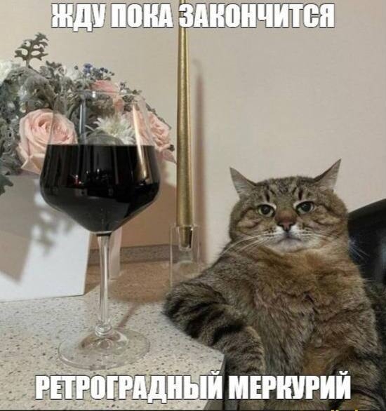 Сегодня начался ретроградный Меркурий
Он продлится д?...