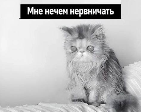 состояние в конце рабочей недели: