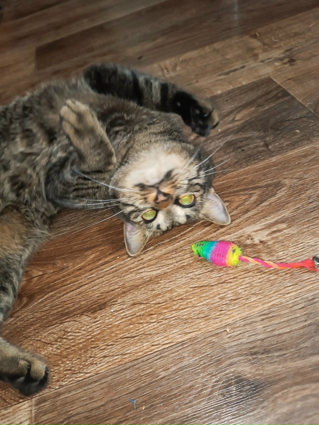 Не бросайте нас на даче ((((