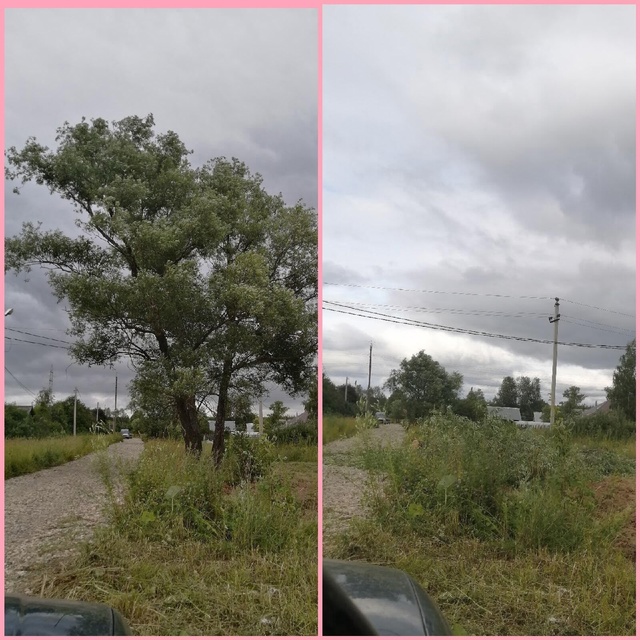 СПИЛИМ ЛЮБОЕ ДЕРЕВО (рядом с домами, проводами, заборам...