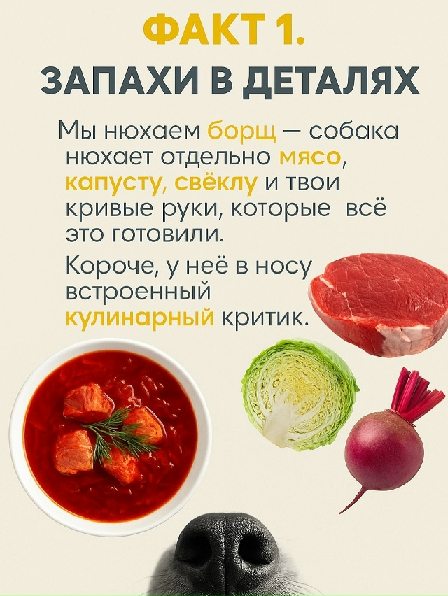 Собачий нос — это айфон без подзарядки, Google и бабка у п?...