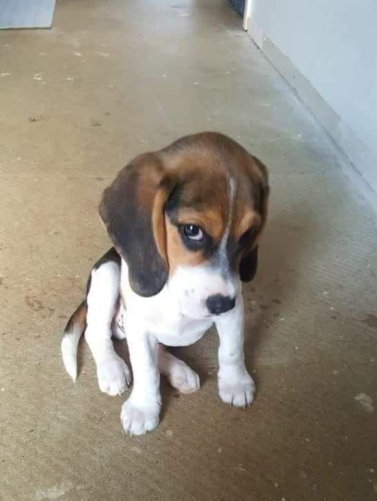 Занимательное раздумье на пороге 86-летия