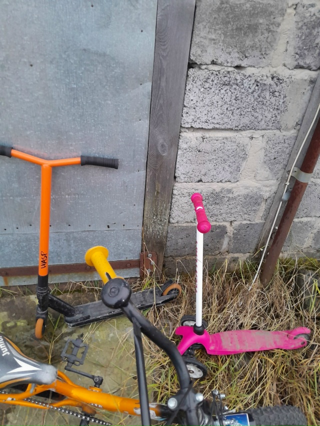 Чьи потеряшки? Писать в личку.